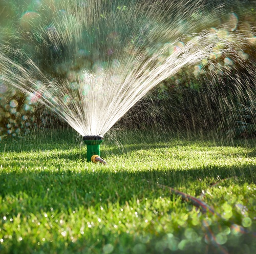 How to Water Your Lawn