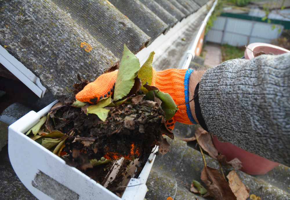 Fall Home Maintenance