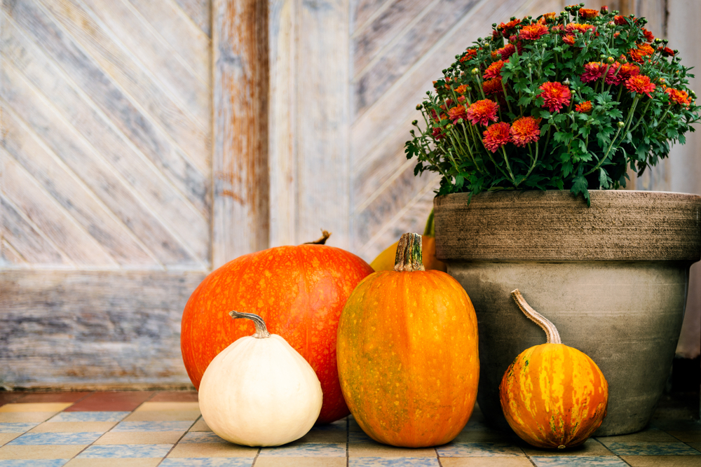 Autumn Curb Appeal for Home Sellers