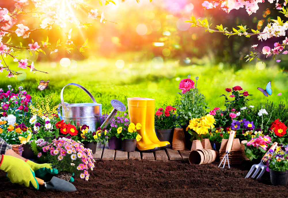 Planning Your Spring Garden