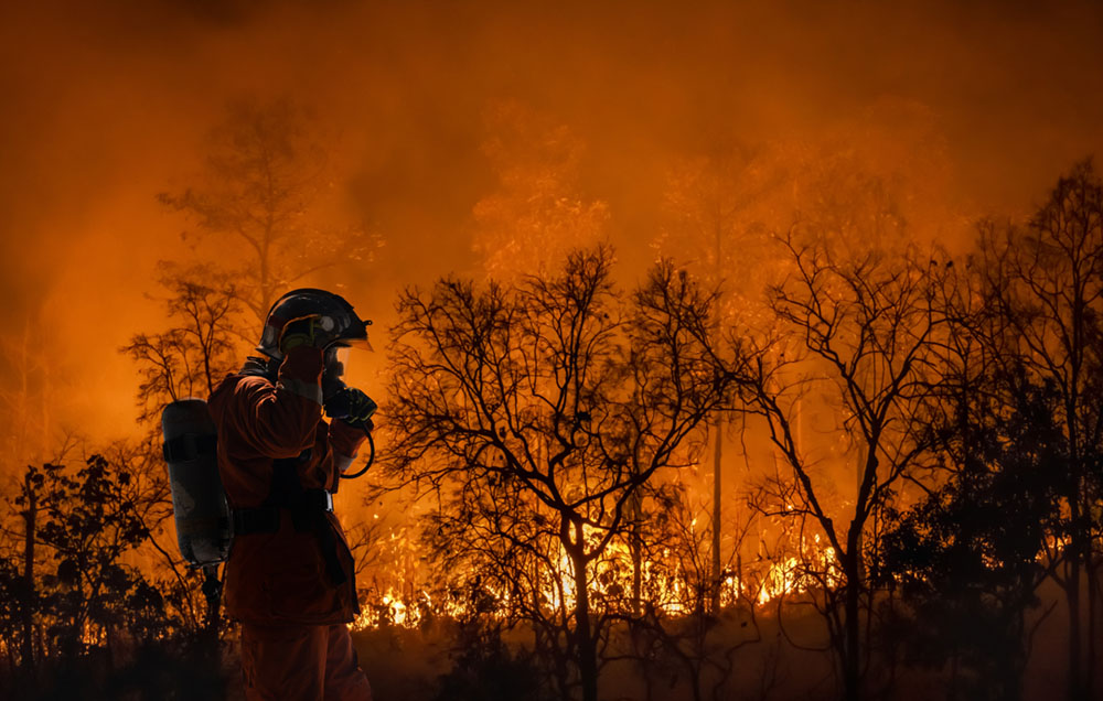 Protecting Your Home From Wildfires