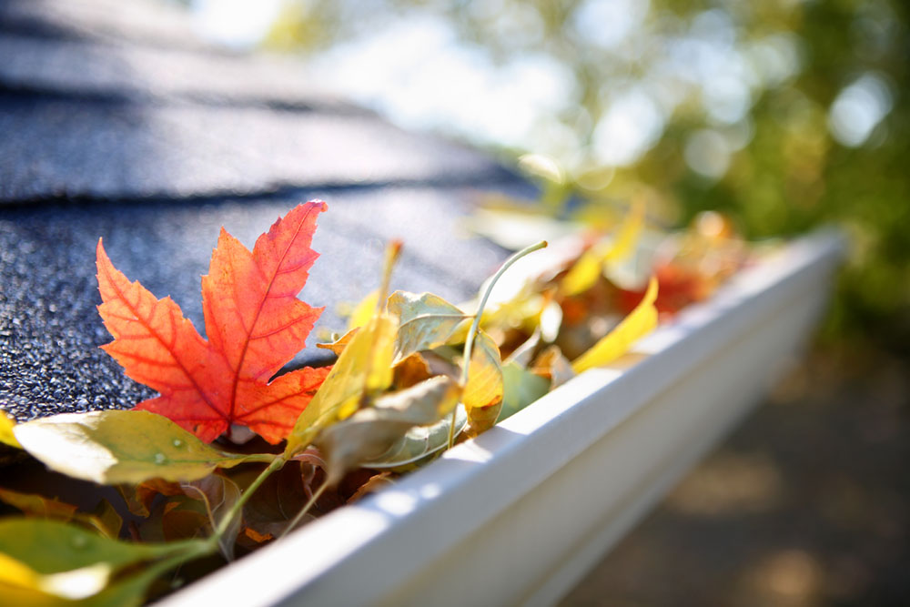 Fall Cleaning Checklist for Home Sellers