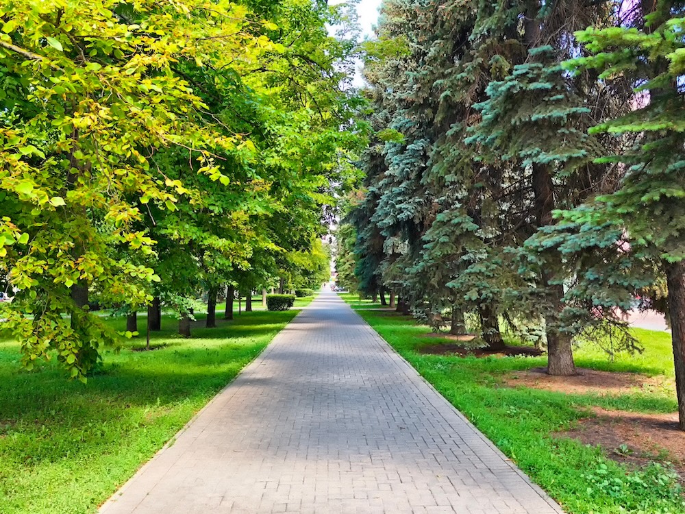 How Walkability Affects Home Value in the U.S. Housing Market