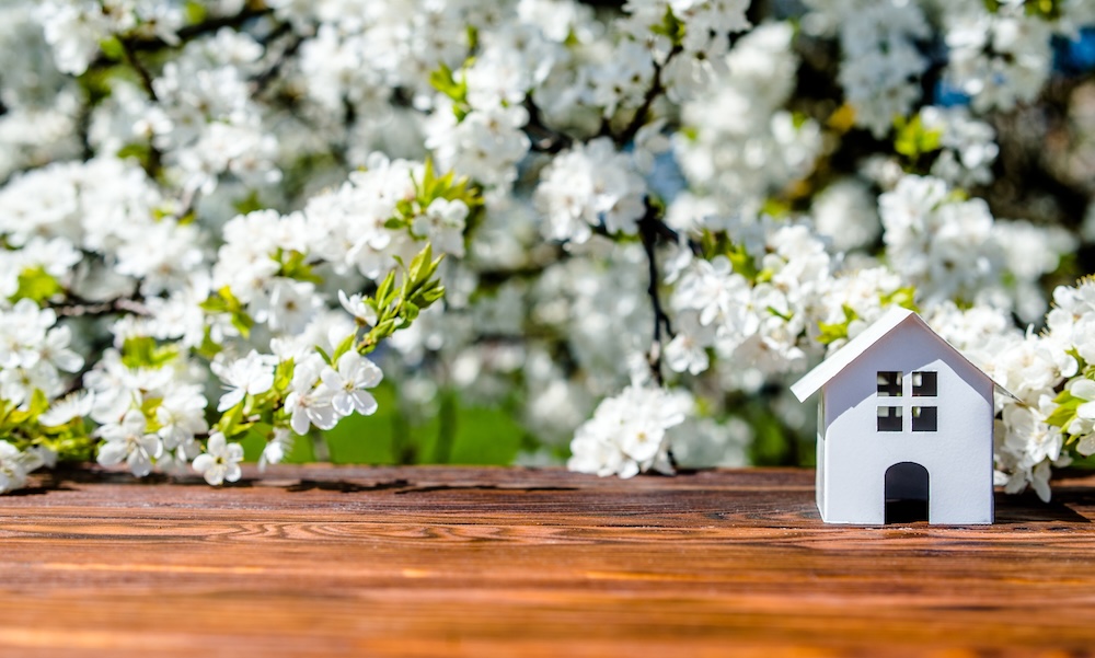 Spring Market Is Almost Here: 5 Things Smart Sellers Do Before March